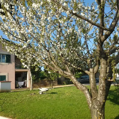 Bed & Breakfast I Ciliegi *